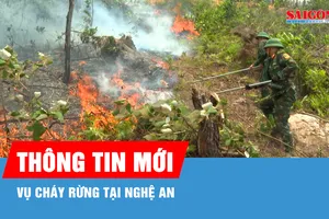 Khống chế vụ cháy rừng tại Nghệ An
