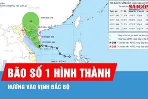 Bão số 1 hình thành, hướng vào vịnh Bắc bộ