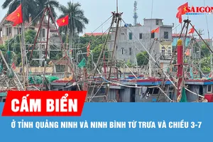 Tỉnh Quảng Ninh và Ninh Bình cấm biển từ trưa và chiều 3-7