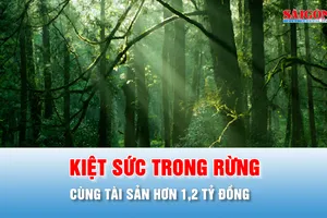 Podcast bản tin thời sự 3-7: Phát hiện người đàn ông kiệt sức trong rừng cùng tài sản hơn 1,2 tỷ đồng