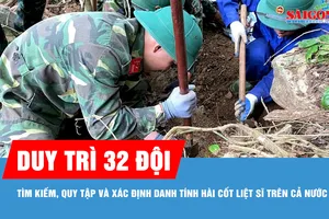Duy trì 32 đội tìm kiếm, quy tập và xác định danh tính hài cốt liệt sĩ trên cả nước
