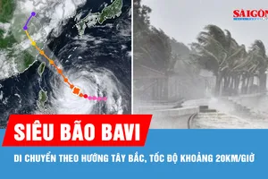 Cơ quan khí tượng nhận định về siêu bão Bavi