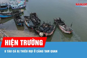 Hiện trường 8 tàu cá bị thiêu rụi ở cảng Tam Quan