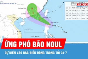 21 địa phương ven biển chủ động ứng phó bão NOUL và gió mạnh trên biển