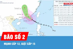 Bão số 2 mạnh lên cấp 12, giật cấp 15 trên Biển Đông