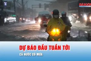Podcast bản tin tối 26-7: Dự báo đầu tuần tới, cả nước có mưa