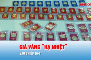 Podcast bản tin tối 30-7: Chiều 30-7, giá vàng “hạ nhiệt”