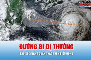 Podcast bản tin trưa 5-8: Bão số 3 có đường đi dị thường