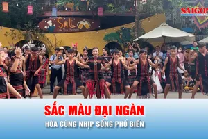 Podcast bản tin tối 9-8: Trải nghiệm tiếng cồng chiêng giữa phố biển