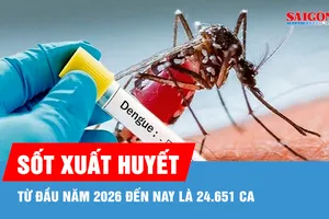 TPHCM ghi nhận hơn 1.100 ca mắc sốt xuất huyết trong một tuần
