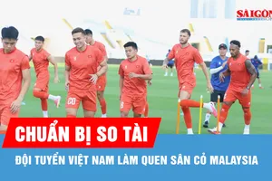 Đội tuyển Việt Nam làm quen với mặt sân cỏ lá gừng ở Malaysia