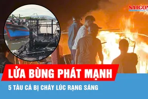 Cháy nhiều tàu cá lúc rạng sáng, thiệt hại hàng tỷ đồng