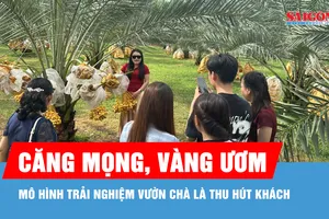 Độc đáo trải nghiệm vườn chà là Trung Đông tại Đồng Nai