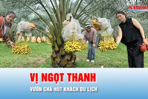 Podcast tin thời sự ngày 15-8: Vườn chà là kết hợp du lịch tại Đồng Nai mang giá trị cao
