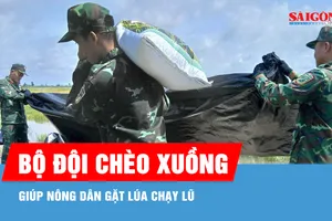 Bộ đội chèo xuồng, giúp nông dân gặt lúa chạy lũ