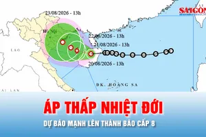 Podcast bản tin tối 20-8: Dự báo áp thấp nhiệt đới vào Vịnh Bắc bộ và mạnh lên thành bão