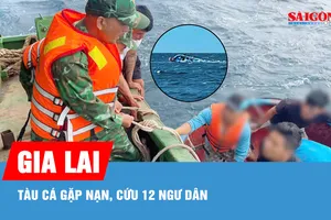 Cứu 12 ngư dân Gia Lai bị nạn giữa biển