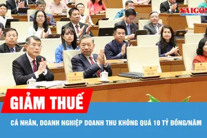 Những cá nhân, doanh nghiệp nào sẽ được giảm 30% thuế thu nhập?