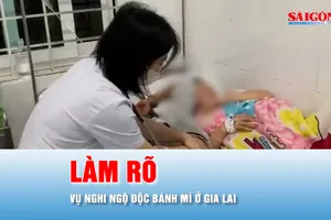 Podcast bản tin tối 26-8: Cục An toàn thực phẩm vào cuộc vụ 150 người nghi ngộ độc sau ăn bánh mì