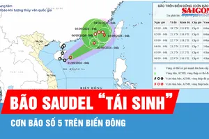 Áp thấp nhiệt đới đã mạnh lên thành bão số 5