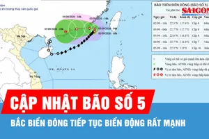 Bão số 5 tiếp tục di chuyển trên biển, duy trì ở cấp 8, giật cấp 10