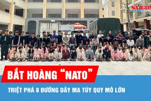 Bắt Hoàng "Nato", triệt phá 8 đường dây ma túy quy mô lớn