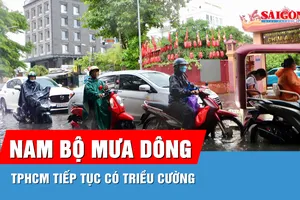 Dự báo khu vực Nam bộ có mưa dông trở lại