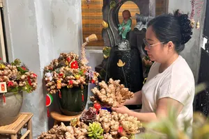 Chị Ánh Dương lựa từng ụ gừng để làm tháp gừng bonsai