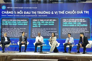 Các đại biểu tham gia tọa đàm. Ảnh: THANH DUNG 