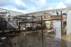 Cà Mau: "Hà bá" lại nuốt nhà dân