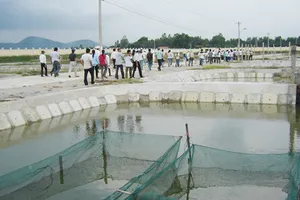 Bị giật mối bán tôm, thuê giang hồ chém dằn mặt