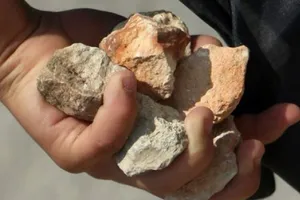 Nghi vấn cháu nội bị tâm thần đánh bà nội tử vong