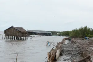 Cà Mau kiến nghị Trung ướng bổ sung vốn xây kè chống sạt lở