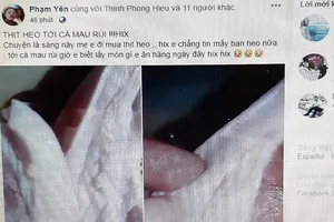 Lập biên bản hai người tung tin thất thiệt về dịch tả heo châu Phi 