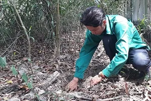 Không khởi tố vụ án Nhà máy xử lý rác thải TP Cà Mau phát hiện 300 xác thai nhi