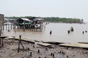 Cấp bách đầu tư các công trình phòng chống sạt lở bờ biển ở Cà Mau