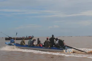 Tái diễn tình trạng khai thác nghêu giống ở Vườn quốc gia Mũi Cà Mau