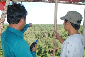 Cà Mau có mưa đầu mùa nhưng rừng tràm U Minh Hạ vẫn chưa “hạ nhiệt” nguy cơ cháy rừng