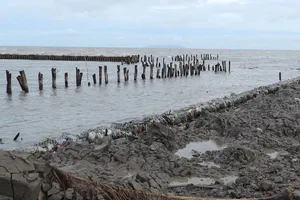 Cà Mau quyết định tình huống khẩn cấp đối với 5 đoạn sạt lở đê biển Tây