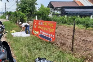 Tỉnh Kiên Giang cho phép tách thửa trở lại đối với đất nông nghiệp tại Phú Quốc