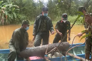 Quả bom được đơn vị công binh xử lý. Ảnh: MINH THẬT