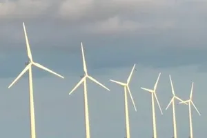 Khánh thành nhà máy điện gió đầu tiên của tỉnh Cà Mau