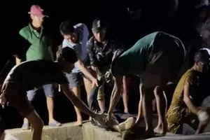 Cà Mau: Tử vong khi lặn biển để khai thác hàu