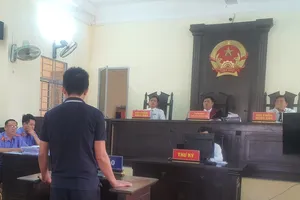 Cà Mau: Làm bản án giả, thư ký tòa án lĩnh 2 năm tù giam