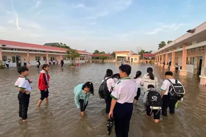 Cà Mau: Cảnh báo triều cường rằm tháng 12 âm lịch gây ngập lụt và sạt lở