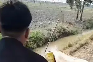 Bạc Liêu: Bẫy chuột bằng điện gây chết người 