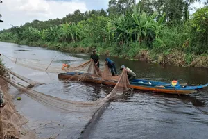 Tái hiện cảnh chụp đìa bắt cá đồng ở U Minh