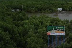 Bố trí trên 2.000 tỷ đồng bồi thường, tái định cư dự án cao tốc TP Cà Mau - Đất Mũi