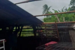 Bạc Liêu: Nhanh chóng hỗ trợ các hộ gia đình bị thiệt hại do dông lốc