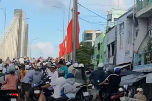 Cà Mau: Em ruột đâm chết anh trai 